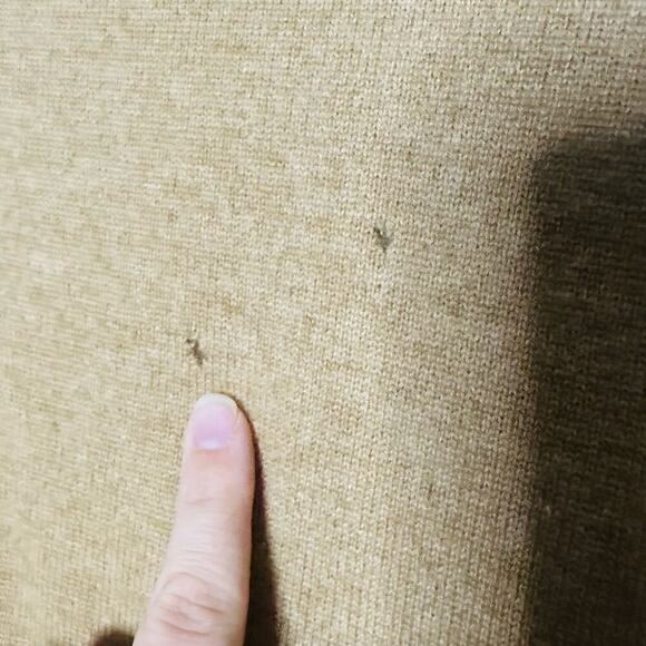 Turnbury Tan 100% Cashmere Long Sleeve Crewneck Sweater size Large - Picture 7 of 12